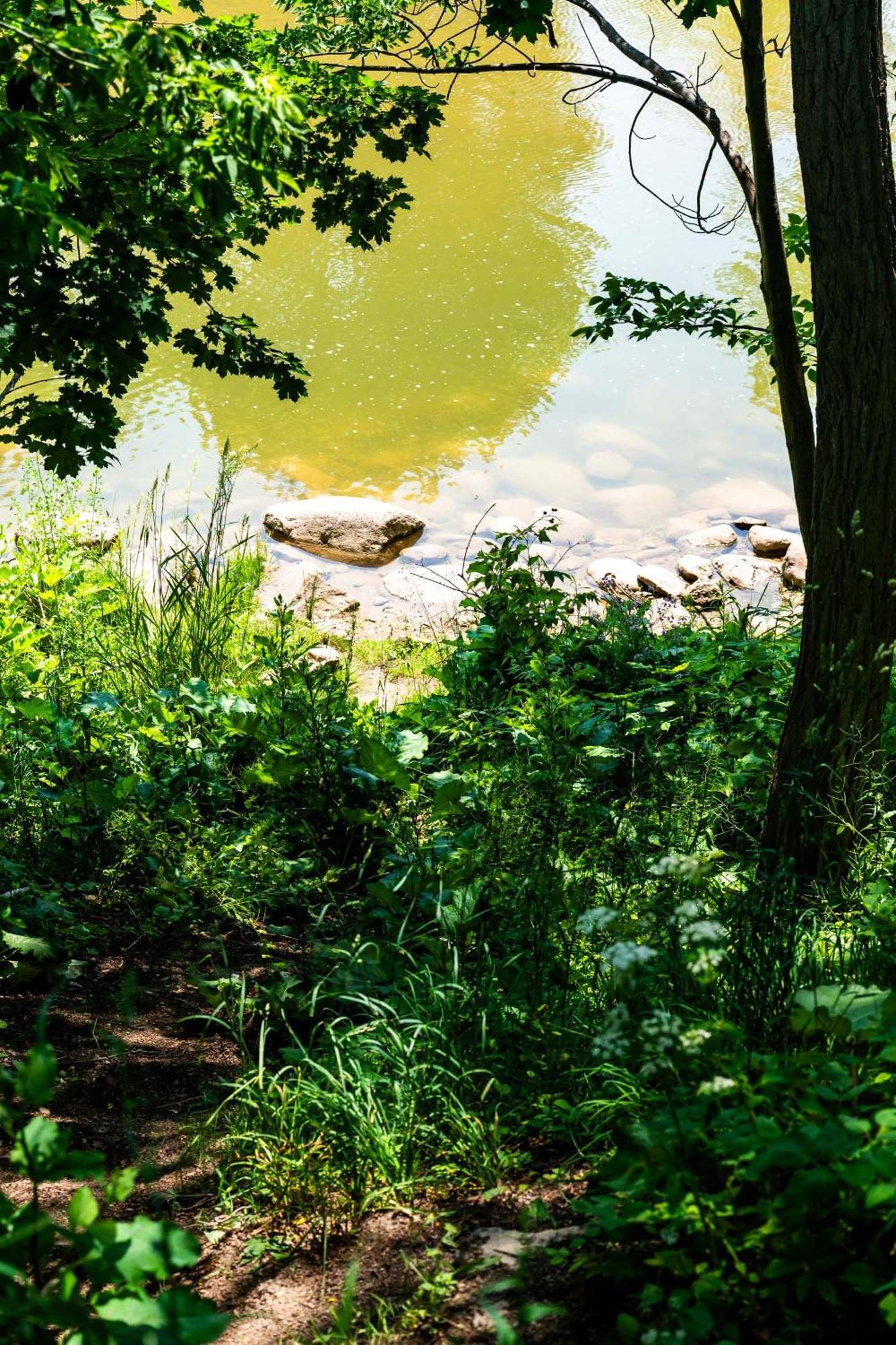 "Bike" At Hills Meaford, Pet Friendly, Ground Floor Suite Buitenkant foto